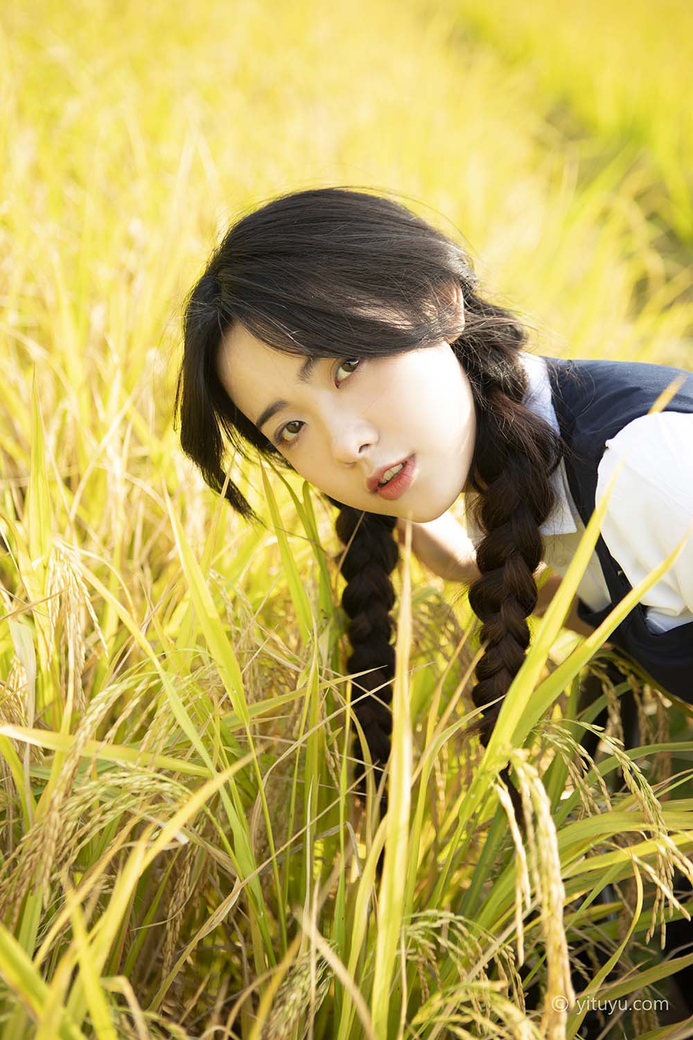 [YITUYU艺图语]2021.03.12 秋日的稻香 黄子卿 YITUYU艺图语-第1张