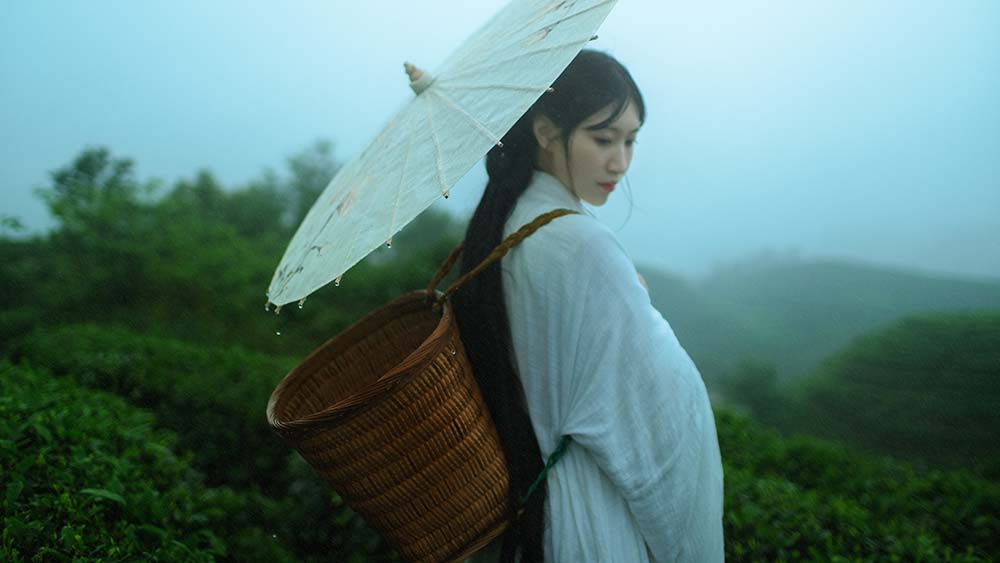 [YITUYU艺图语]2021.12.24 空山灵雨 初茶 YITUYU艺图语-第1张
