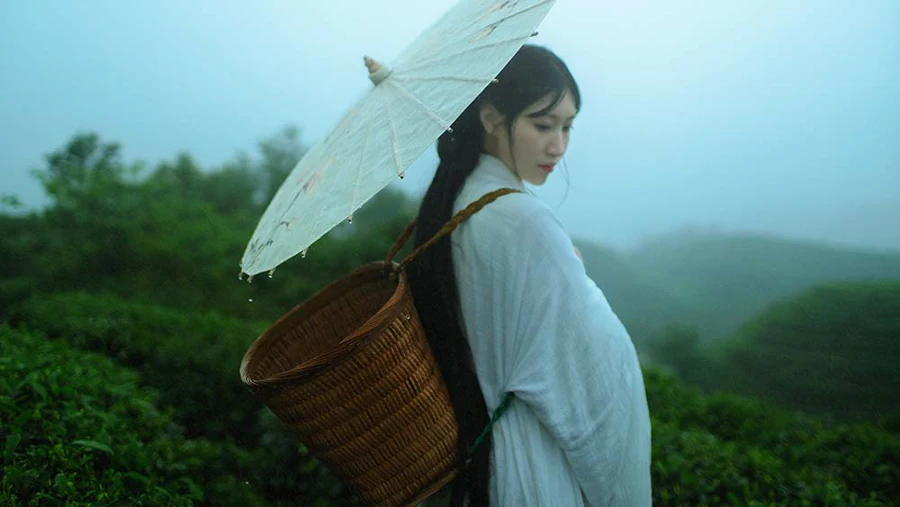 [YITUYU艺图语]2021.12.24 空山灵雨 初茶 YITUYU艺图语-第1张