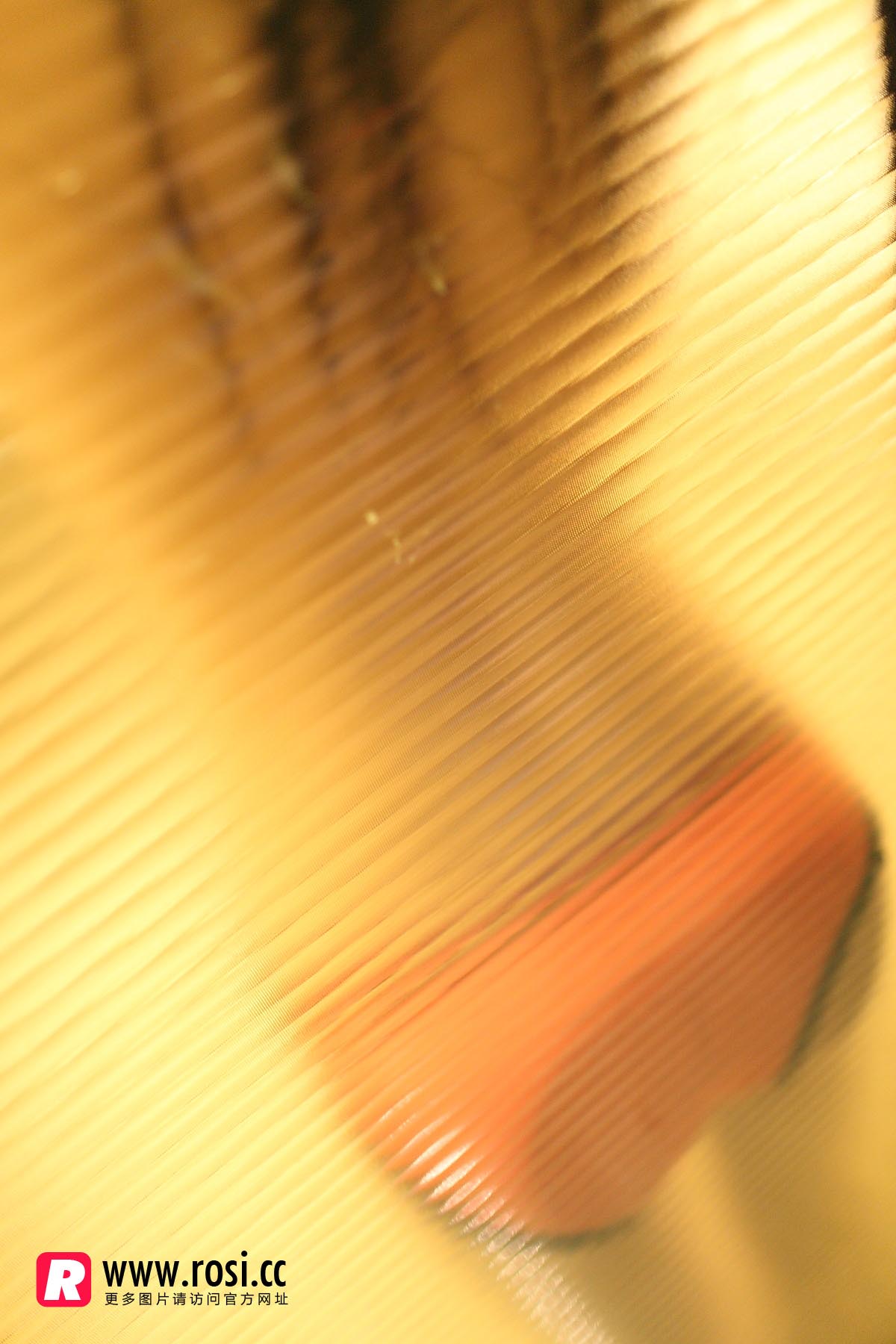 [ROSI写真]2015.12.15 NO.1468 ROSI写真-第1张