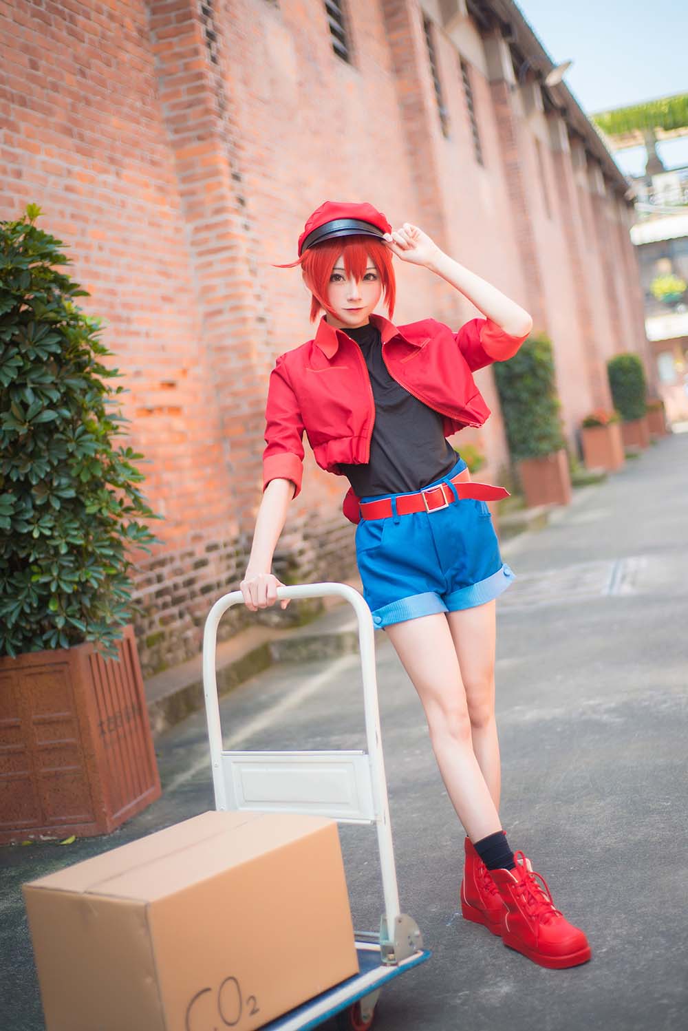 绮太郎Kitaro – 工作细胞1 Cosplay-第2张