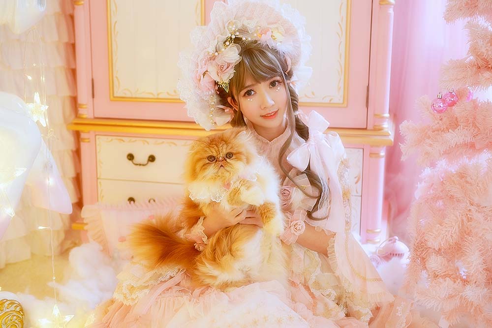 鳗鱼霏儿 – 猫 Cosplay-第2张