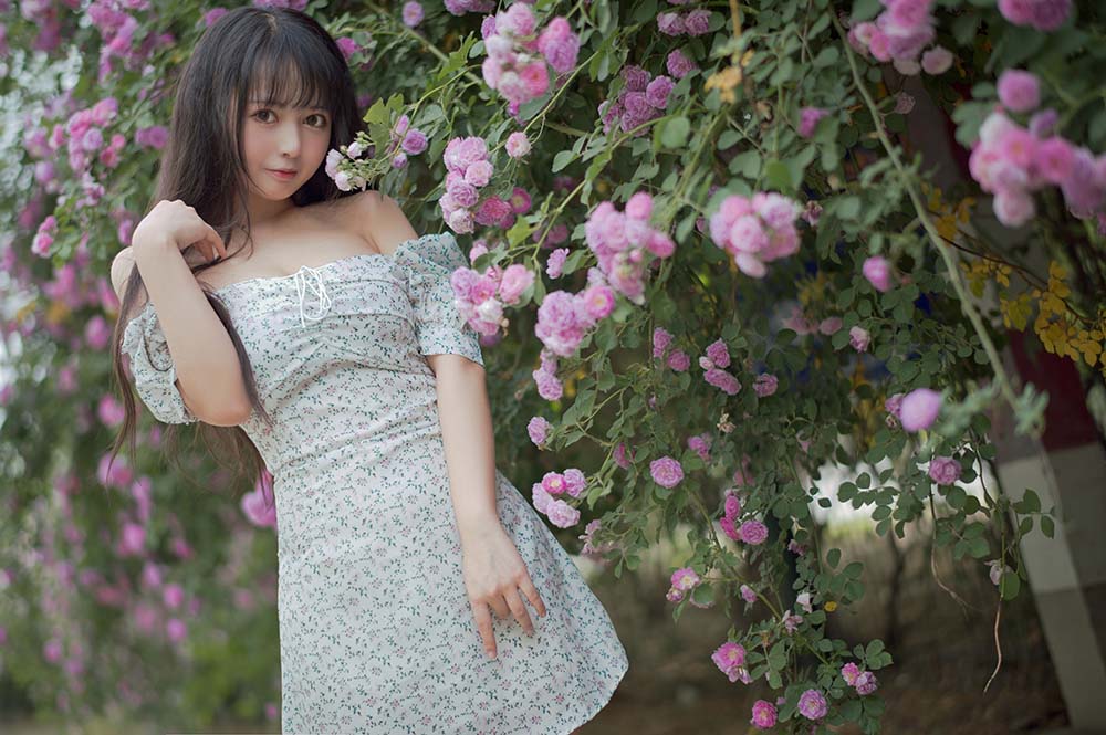 黑猫猫OvO – 蔷薇2 Cosplay-第1张
