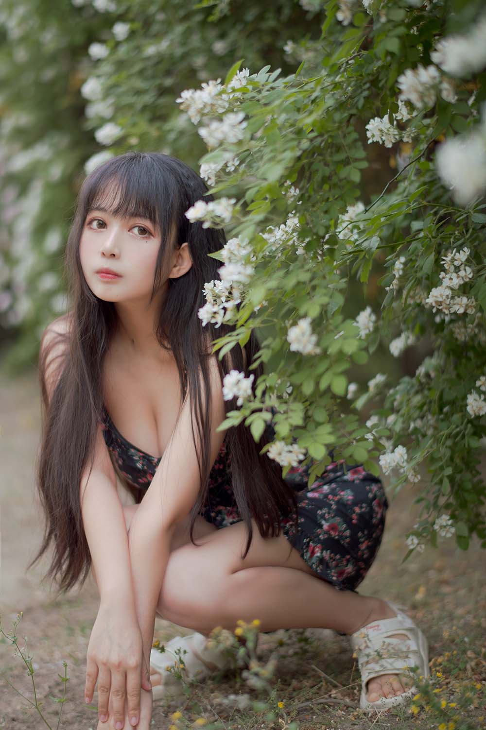 黑猫猫OvO – 蔷薇1[22P／255MB] Cosplay-第1张