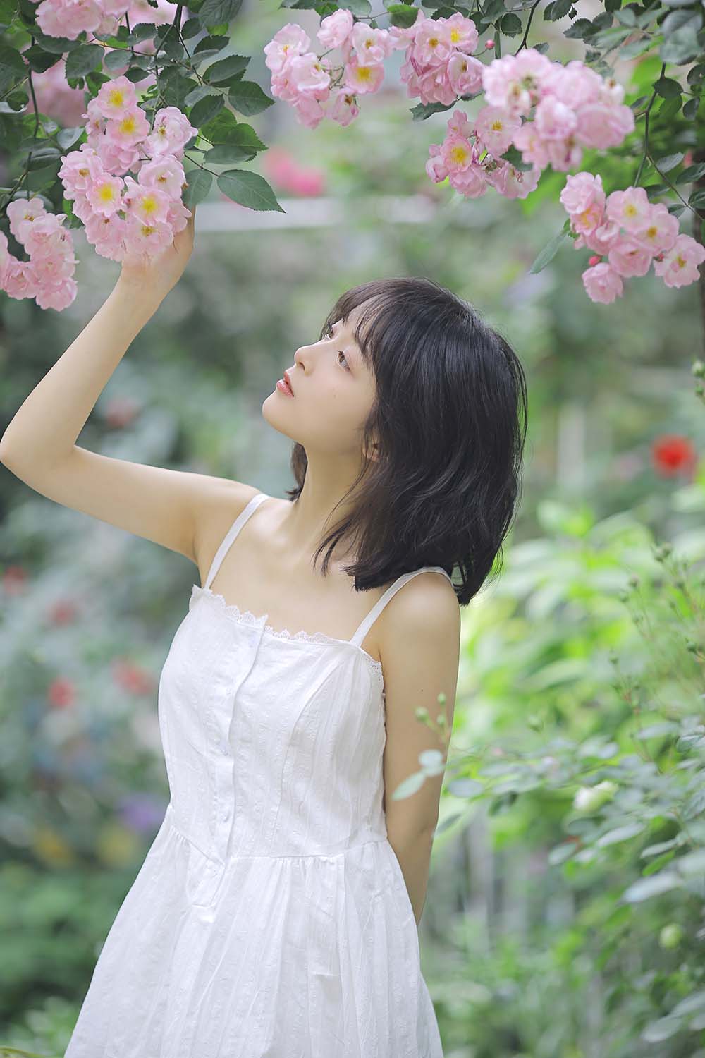 [YITUYU艺图语]2022.08.17 花期已致 美好如初 甜酒八號 YITUYU艺图语-第1张
