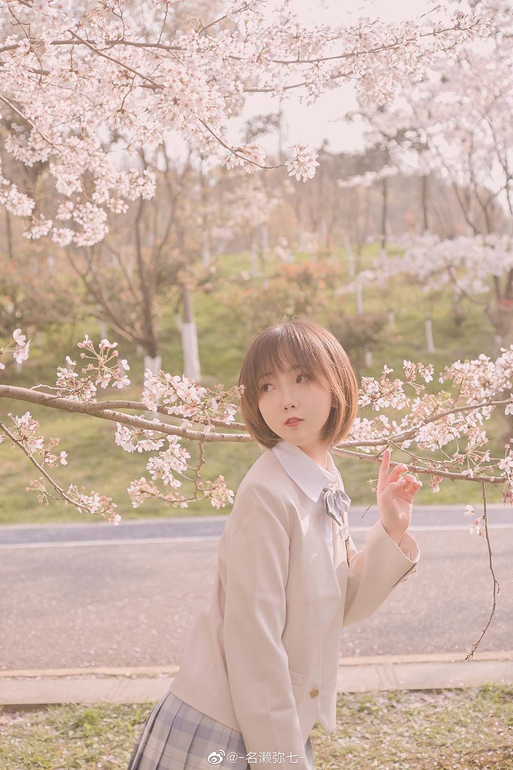 名濑弥七 – 樱花 Cosplay-第2张