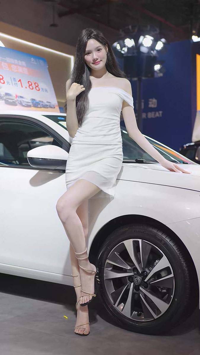 2023 东莞秋季车展 Racing Model Citroën车模09 街拍-第1张