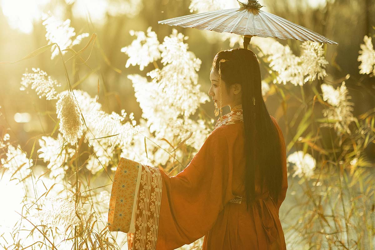 [YITUYU艺图语]2024.02.05 蒹葭苍苍 之于浅灯 YITUYU艺图语-第1张