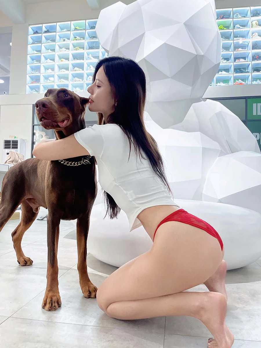 美女模特就是阿朱啊 – 杜宾狗 Cosplay-第1张