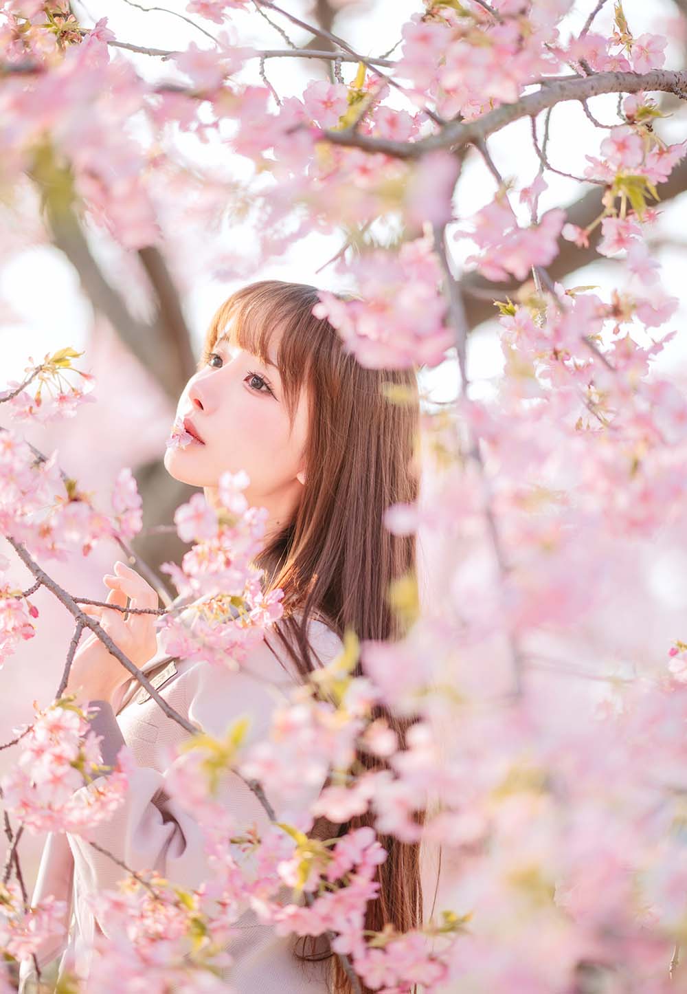 紫氯氯 – 樱花下的JK少女 Cosplay-第2张