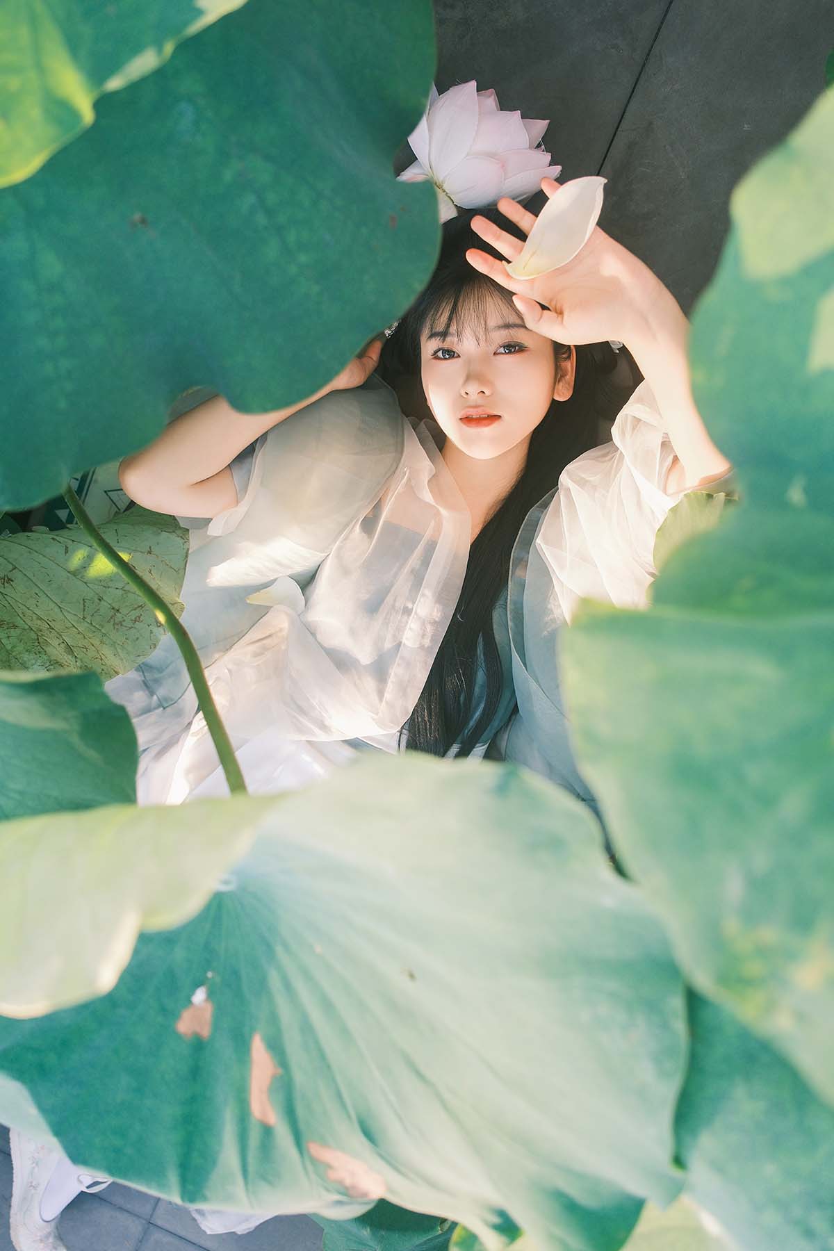 [YITUYU艺图语]2024.09.22 误入莲花深处 静静 YITUYU艺图语-第1张
