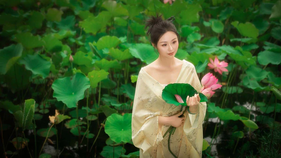 [YITUYU艺图语]2024.10.13 夏至未至，娇荷已开 二十四时 YITUYU艺图语-第1张