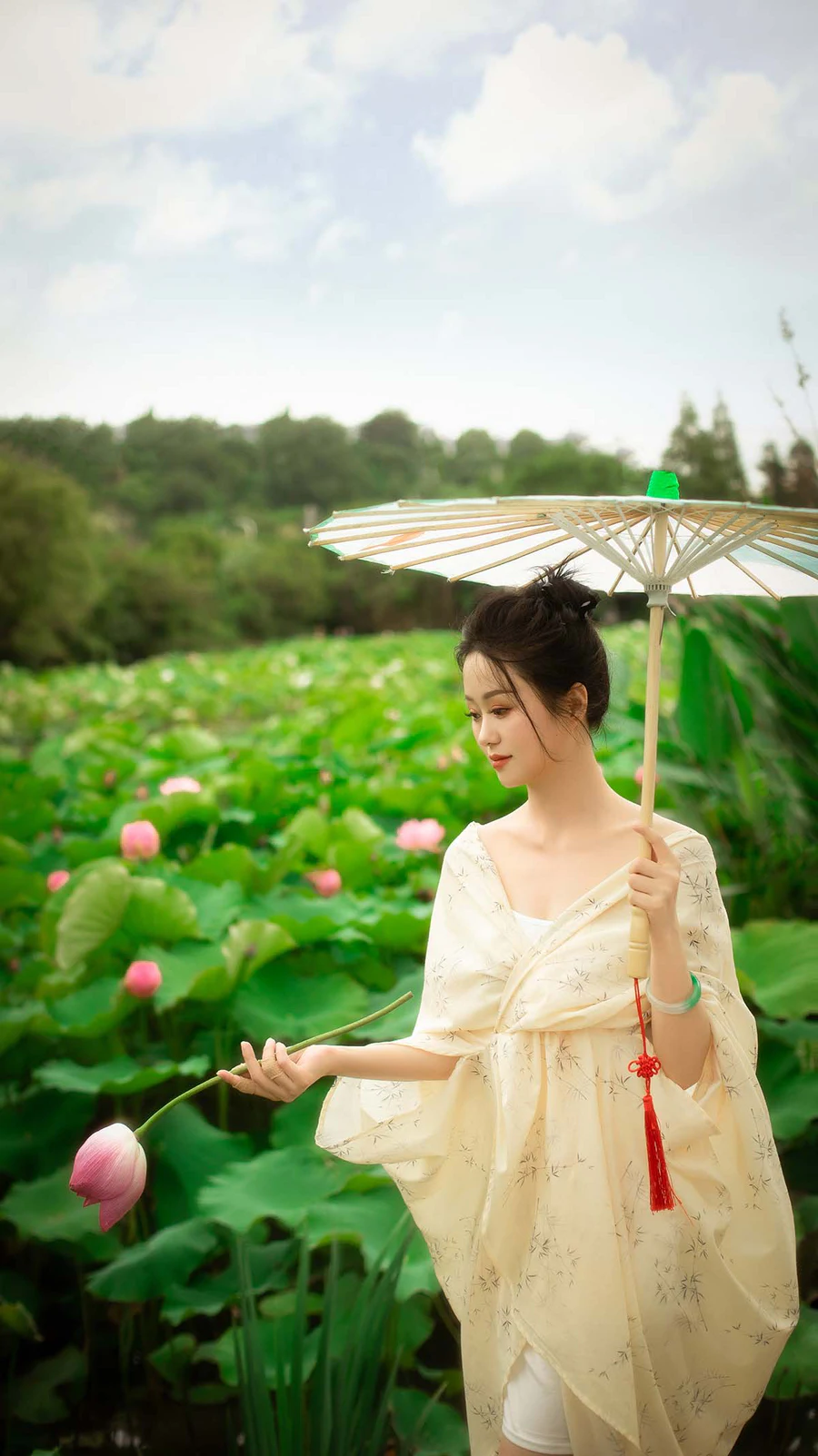 [YITUYU艺图语]2024.10.13 夏至未至，娇荷已开 二十四时 YITUYU艺图语-第2张