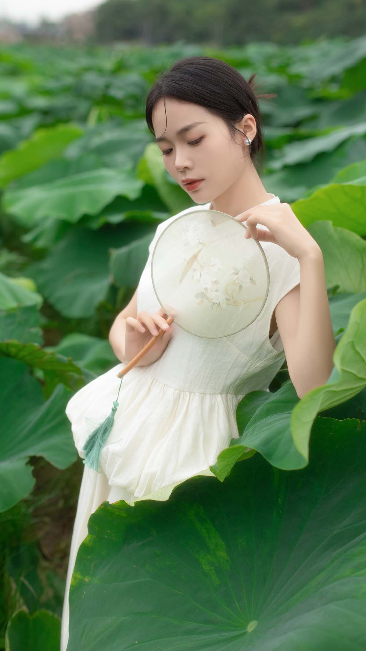 [YITUYU艺图语]2024.11.05 夏日荷香 一 YITUYU艺图语-第2张
