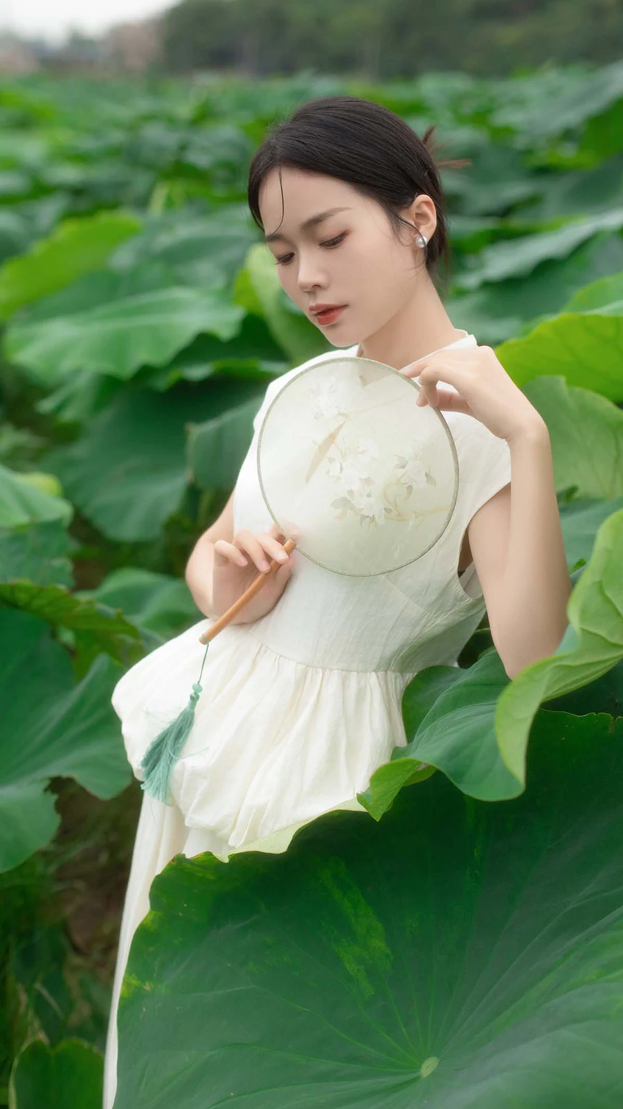 [YITUYU艺图语]2024.11.05 夏日荷香 一 YITUYU艺图语-第2张