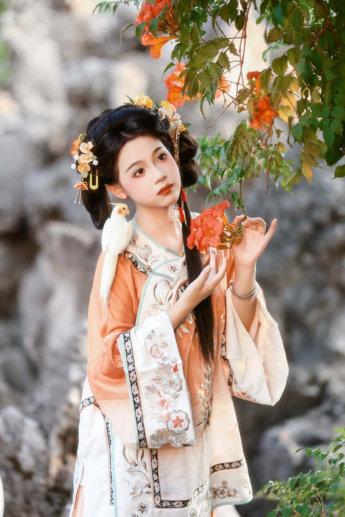 [YITUYU艺图语]2024.12.12 凌霄花 铁臂阿桐木 YITUYU艺图语-第1张