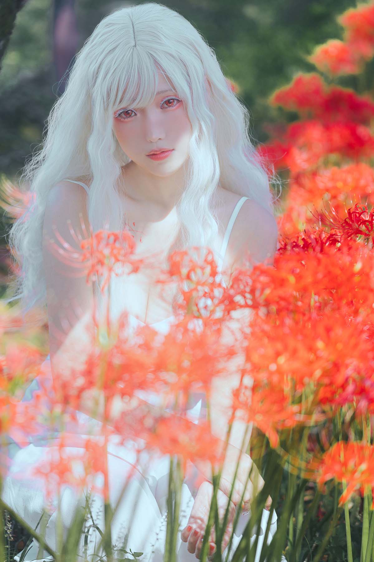 Ely_eee(ElyEE子) – White spider lily 白瓷彼岸 Cosplay-第1张