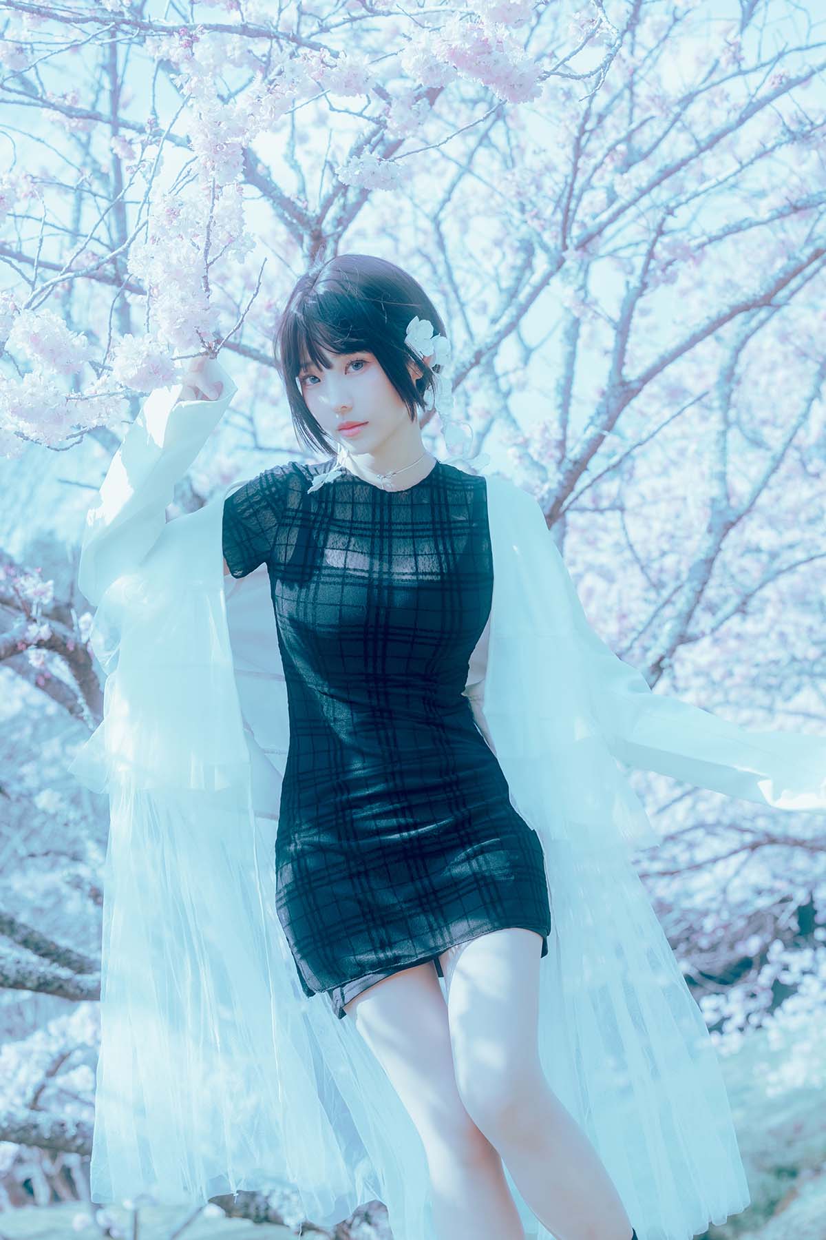 Ely_eee(ElyEE子) – 17°C Pink Sakura17°C粉櫻 Cosplay-第1张