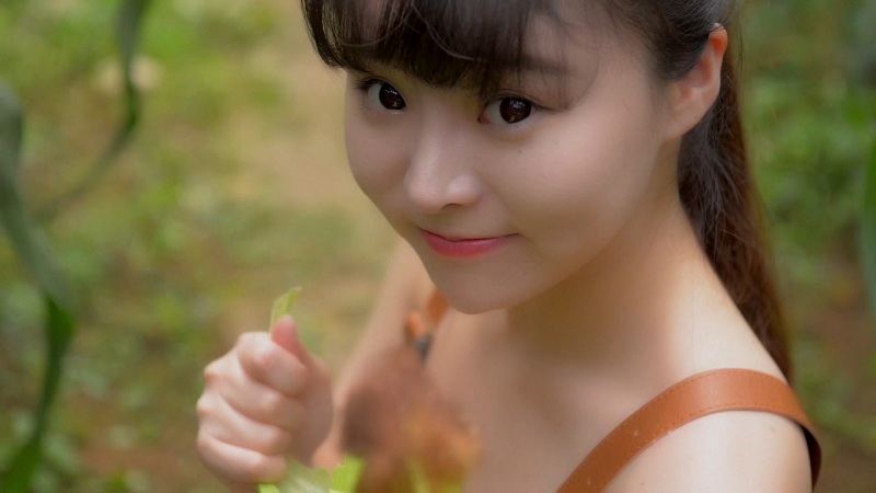 [BoLoLi波萝社]2017.08.24 BLV005 七宝-夏日祭视频 柳侑绮 BoLoli波萝社新刊视频-第1张