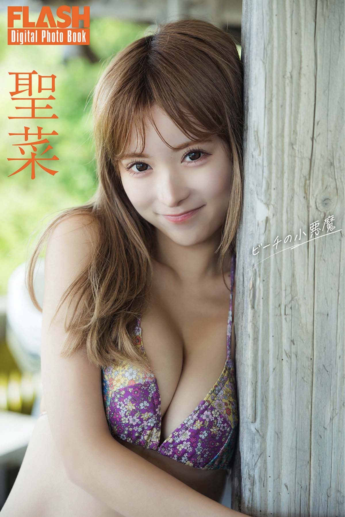 聖菜 – ビーチの小悪魔 Photobook-第1张