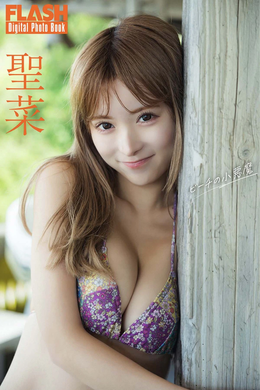 聖菜 – ビーチの小悪魔 Photobook-第1张