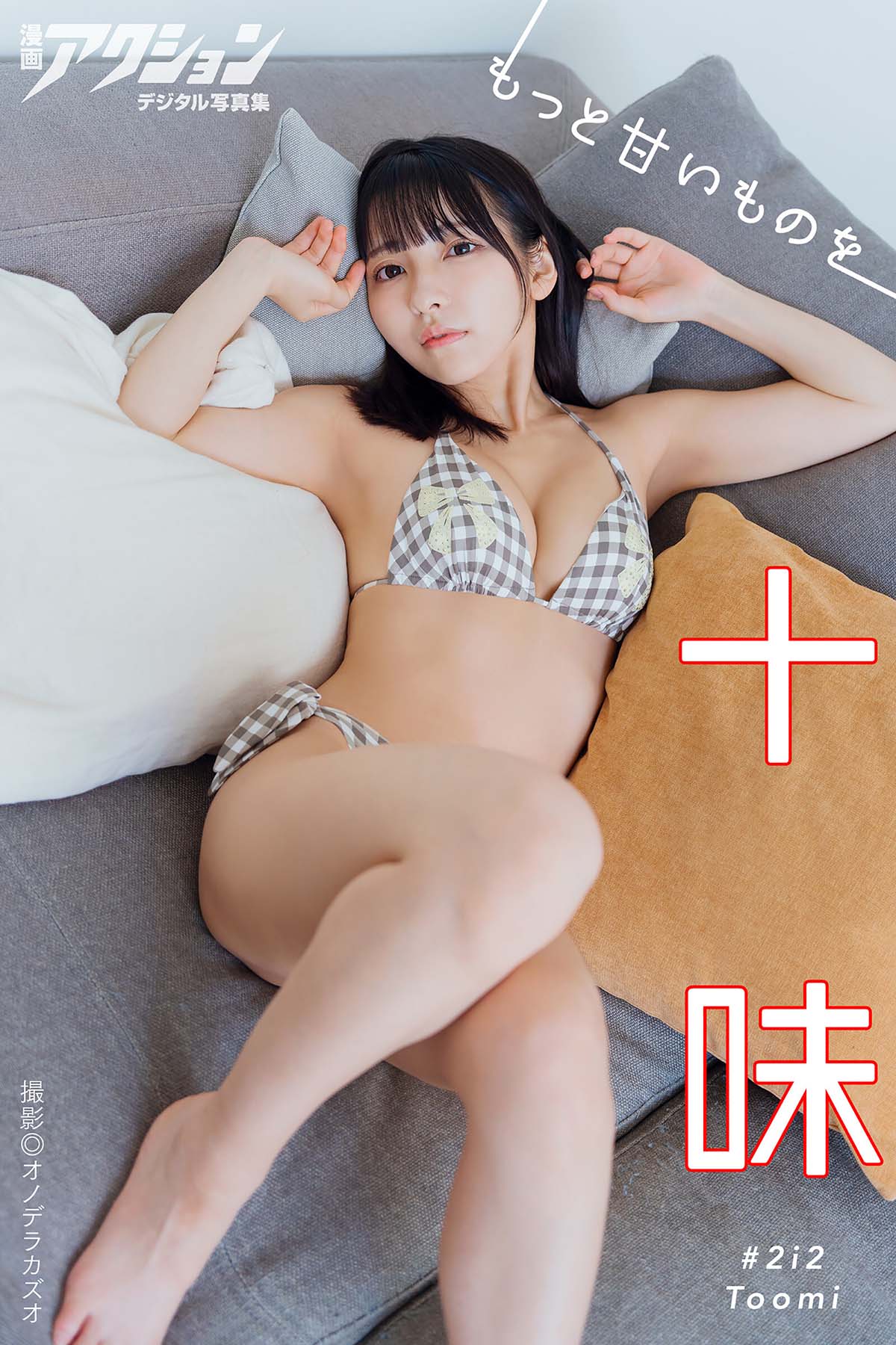 十味 – もっと甘いものを Photobook-第1张