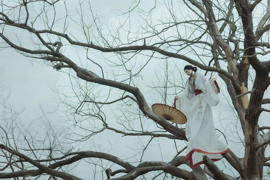 [YITUYU艺图语]2025.05.22 枯木 苏苏 YITUYU艺图语-第1张