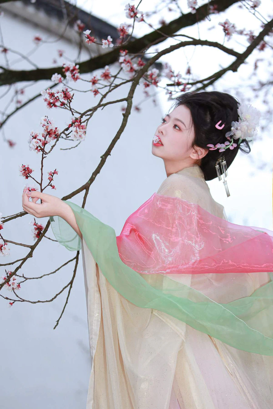 [YITUYU艺图语]2025.06.01 山茶花神 肥肥 YITUYU艺图语-第1张