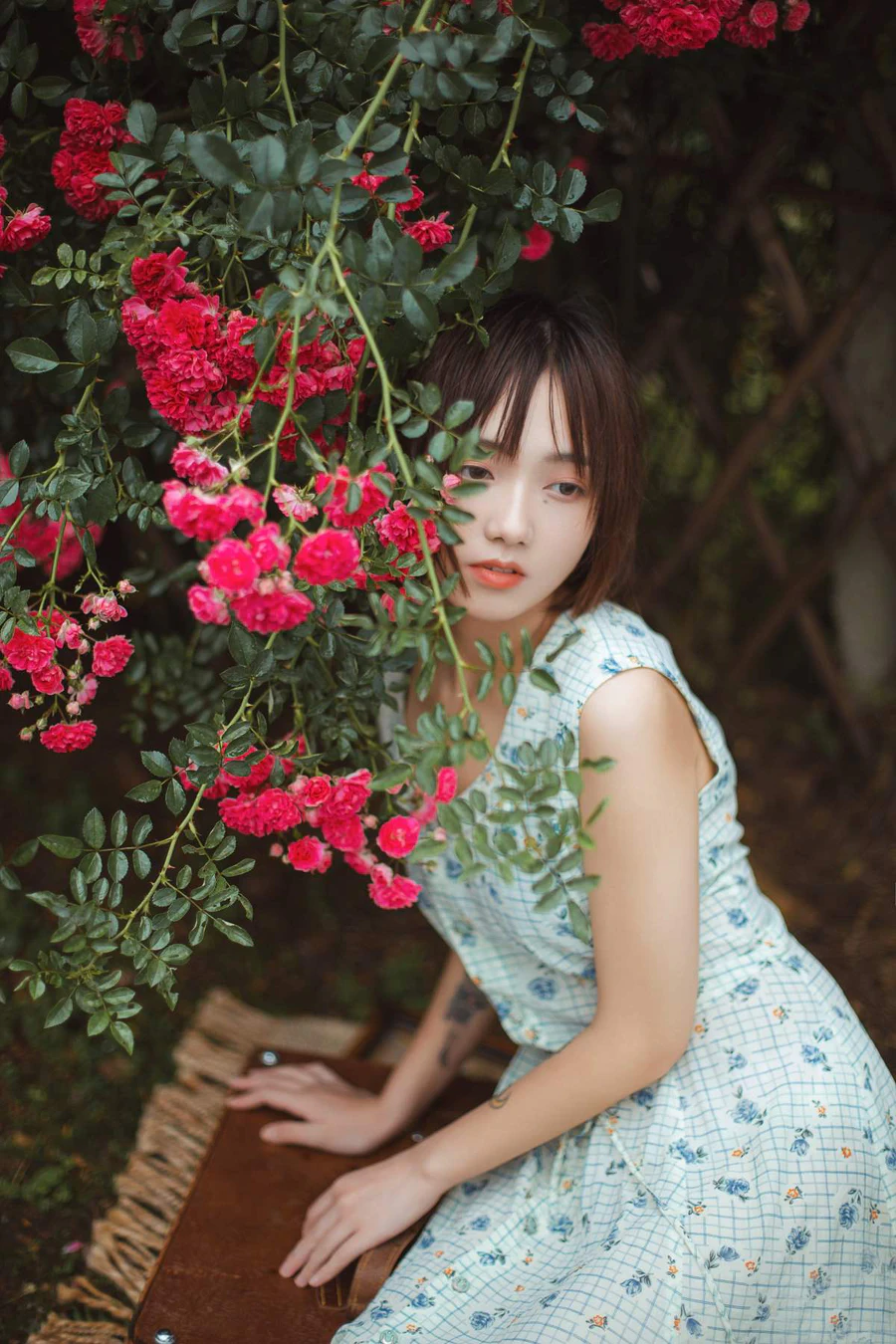 [YITUYU艺图语]2025.06.03 青雉 echo YITUYU艺图语-第1张