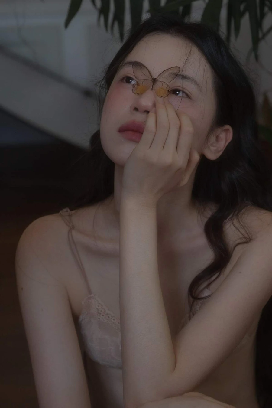 [YITUYU艺图语]2025.06.07 蝶恋花 蔡景梵 YITUYU艺图语-第1张