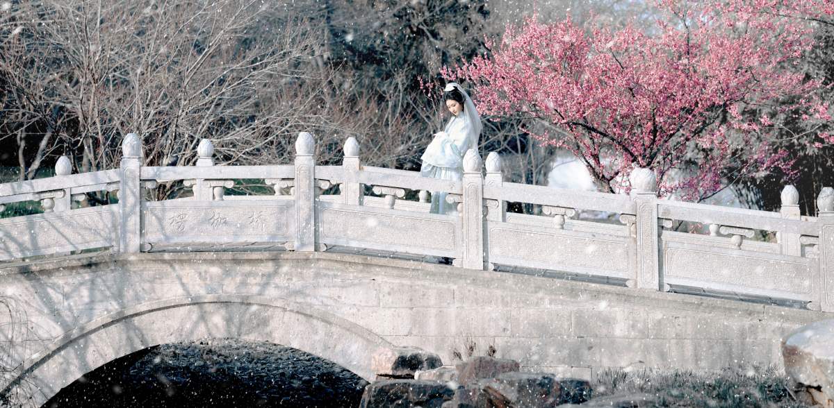 [YITUYU艺图语]2025.06.08 琉璃世界，白雪红梅 荷里寒 YITUYU艺图语-第2张