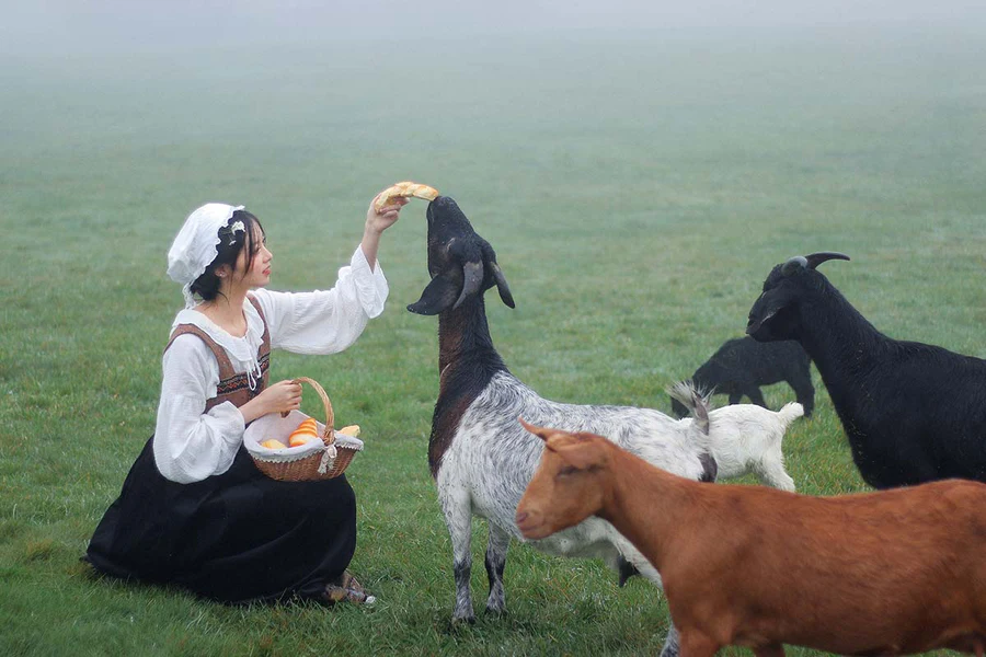 [YITUYU艺图语]2025.06.17 迷雾森林的牧羊少女 鹿离 YITUYU艺图语-第2张