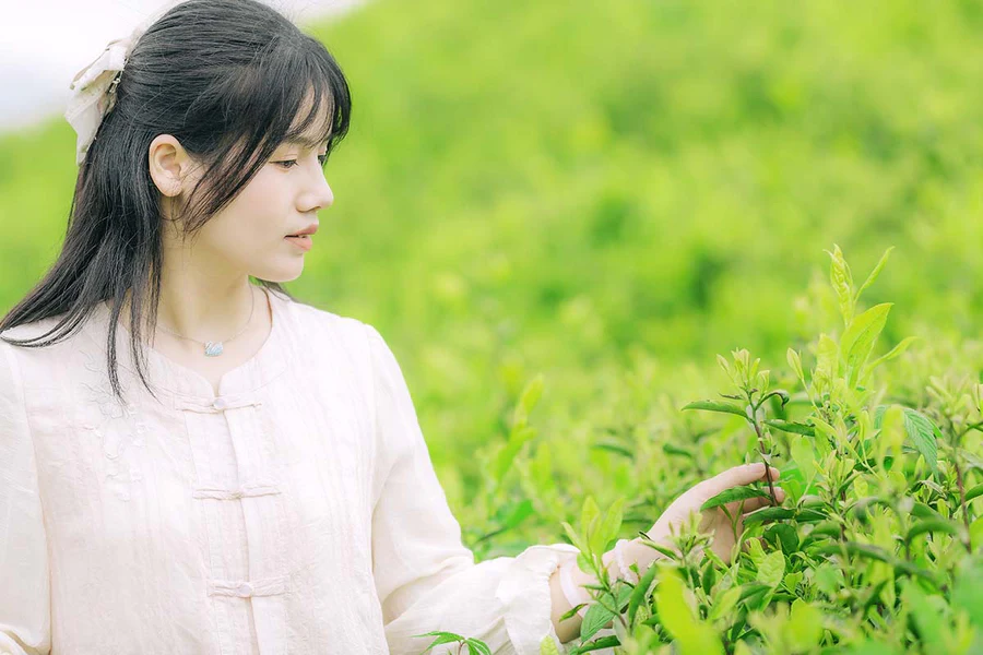 [YITUYU艺图语]2025.06.24 茶山行 般若 YITUYU艺图语-第2张