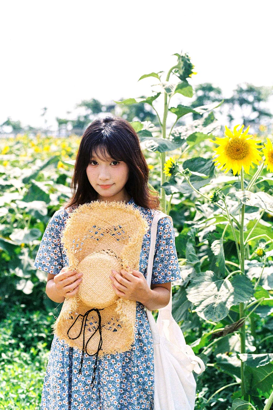 [YITUYU艺图语]2025.06.25 向日葵的花语 沐沐 YITUYU艺图语-第1张