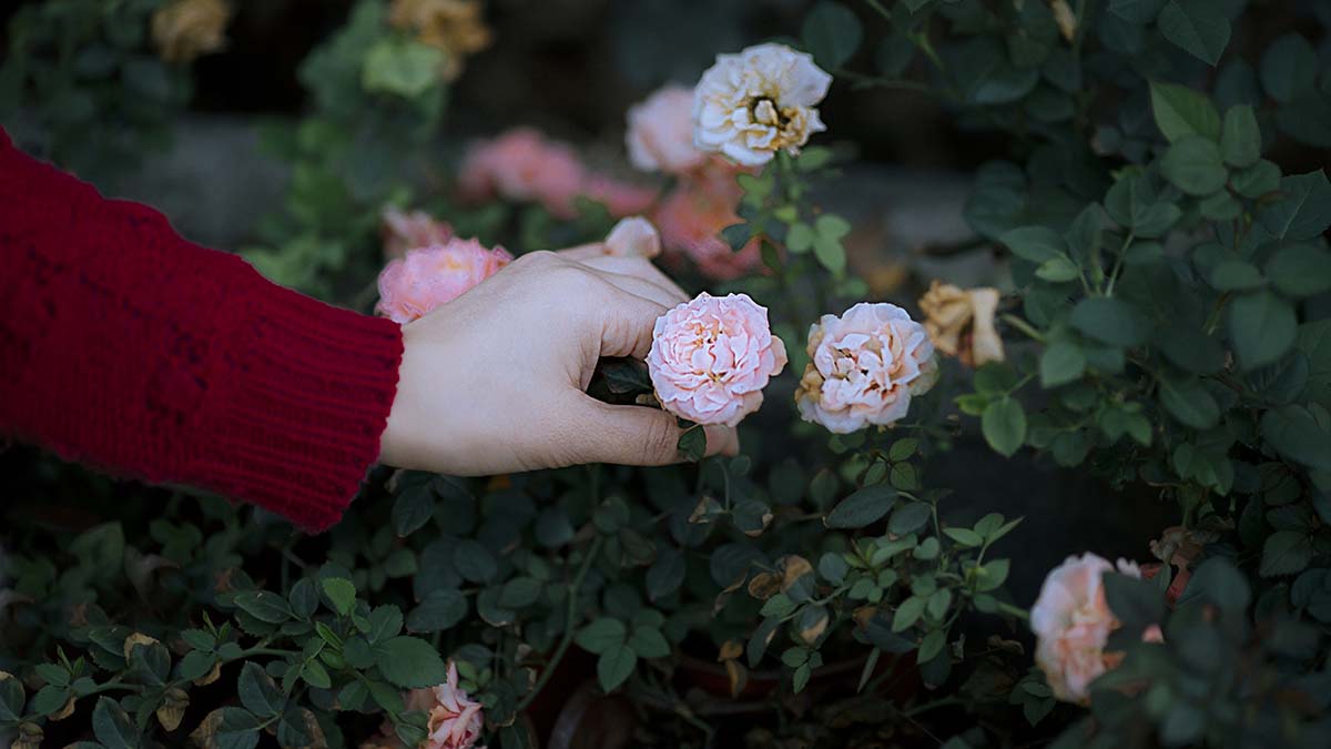 [YITUYU艺图语]2025.06.30 那一片光 梓琪 YITUYU艺图语-第1张