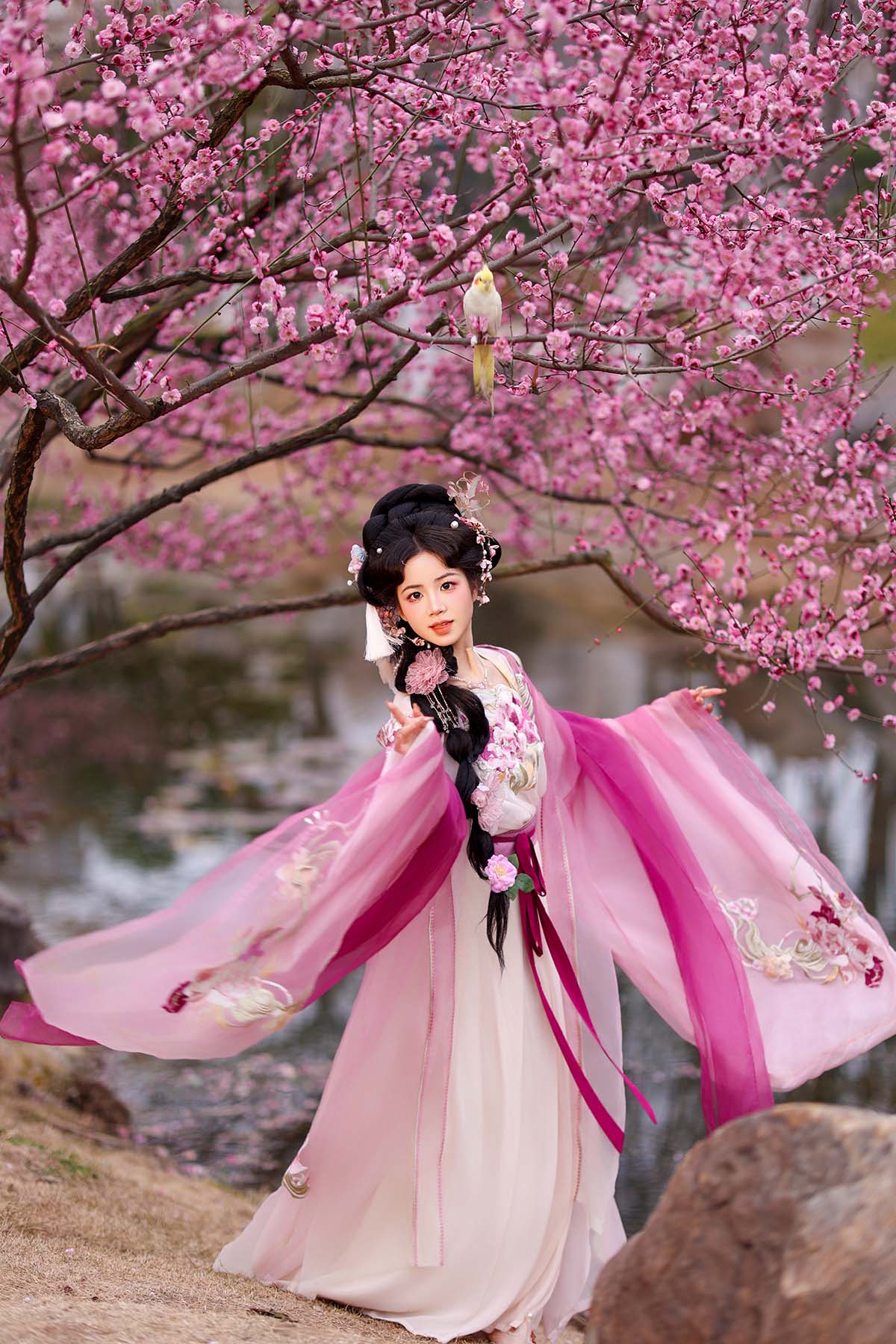 [YITUYU艺图语]2025.07.01 芍药 小杜同学 YITUYU艺图语-第1张