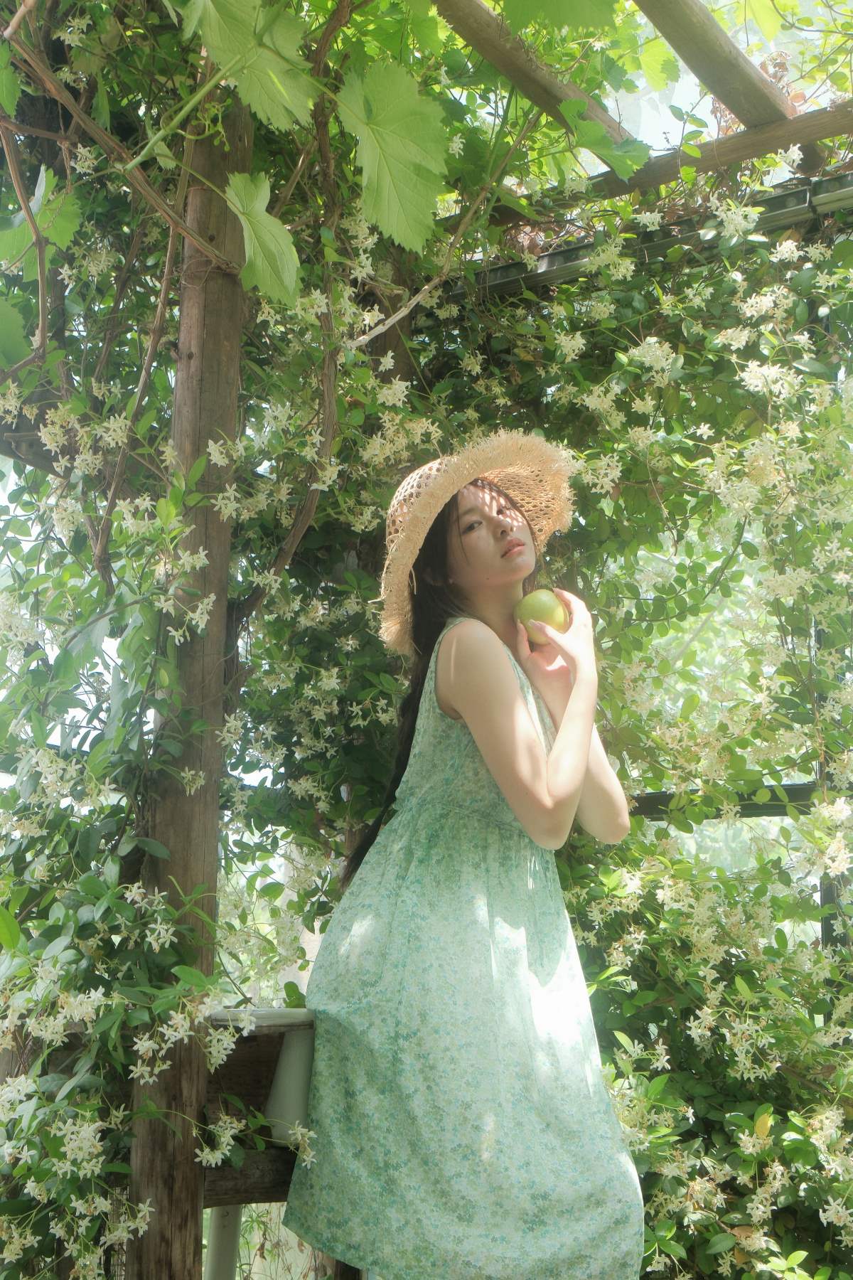 [YITUYU艺图语]2025.07.04 风车茉莉 皖 YITUYU艺图语-第2张