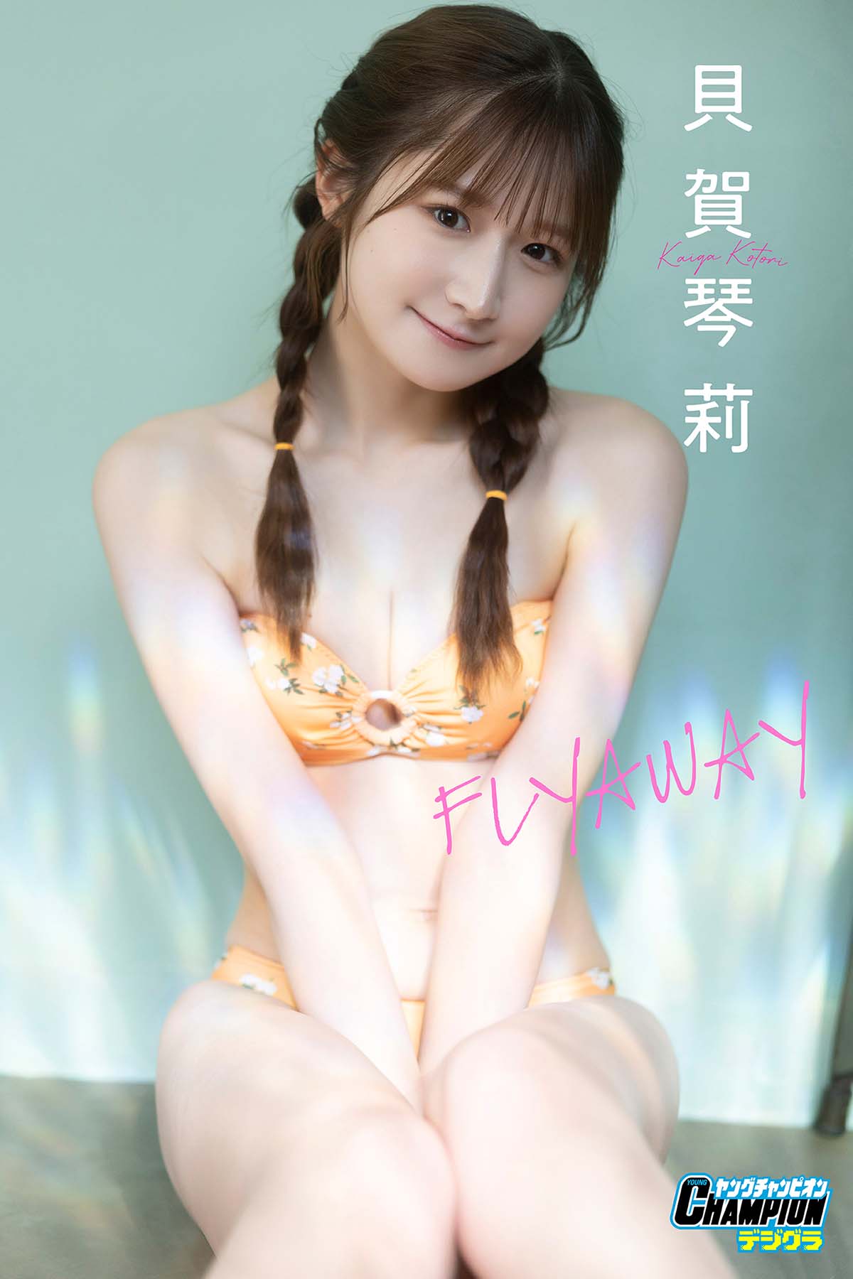 貝賀琴莉 – FLYAWAY Photobook-第1张
