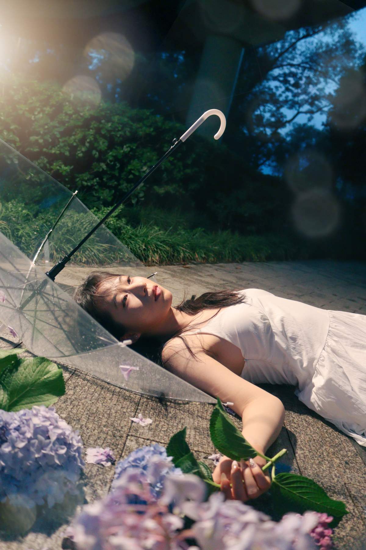 [YITUYU艺图语]2025.07.13 雨中绣球 桃一 YITUYU艺图语-第1张