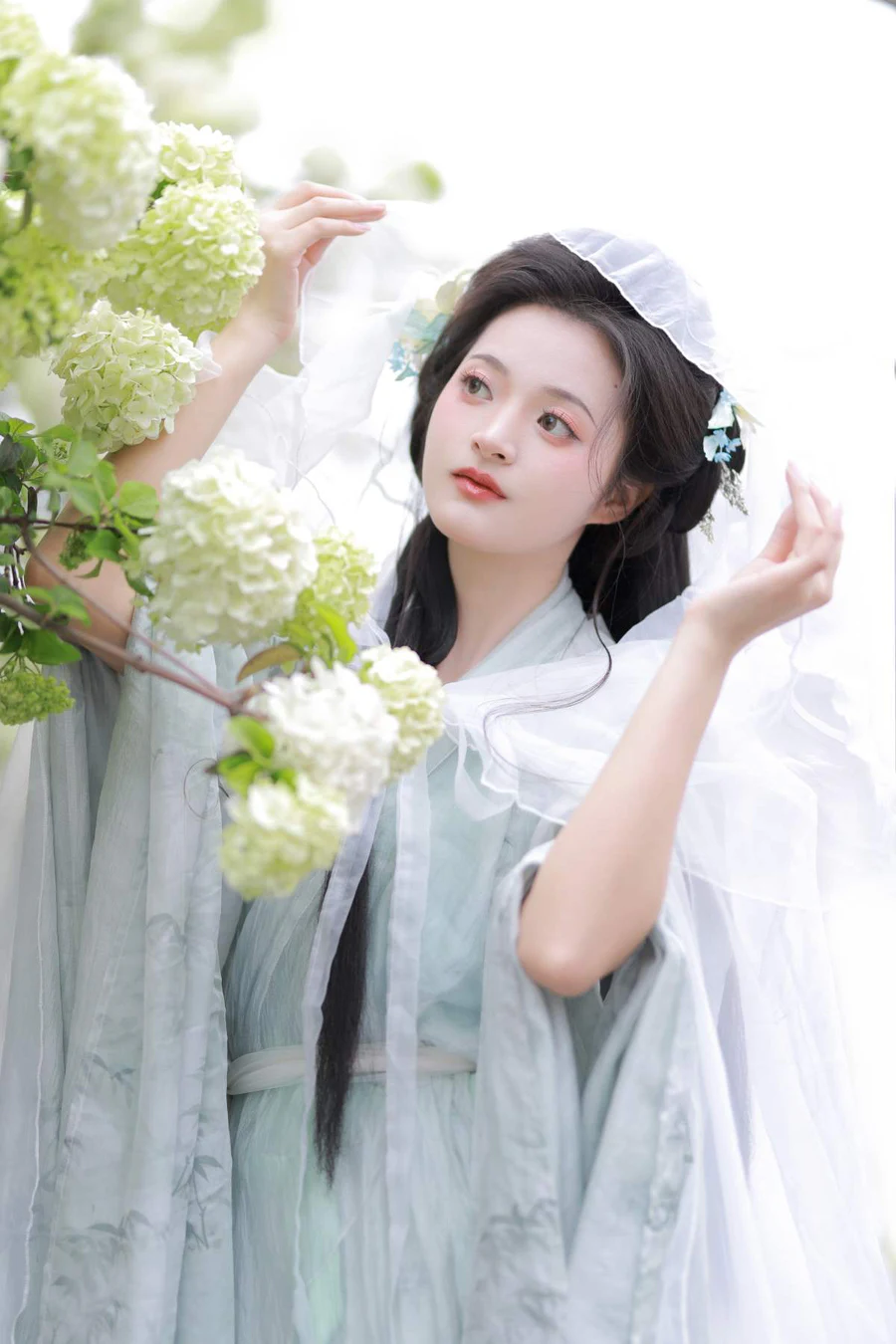 [YITUYU艺图语]2025.07.30 中华木绣球 端端 YITUYU艺图语-第1张