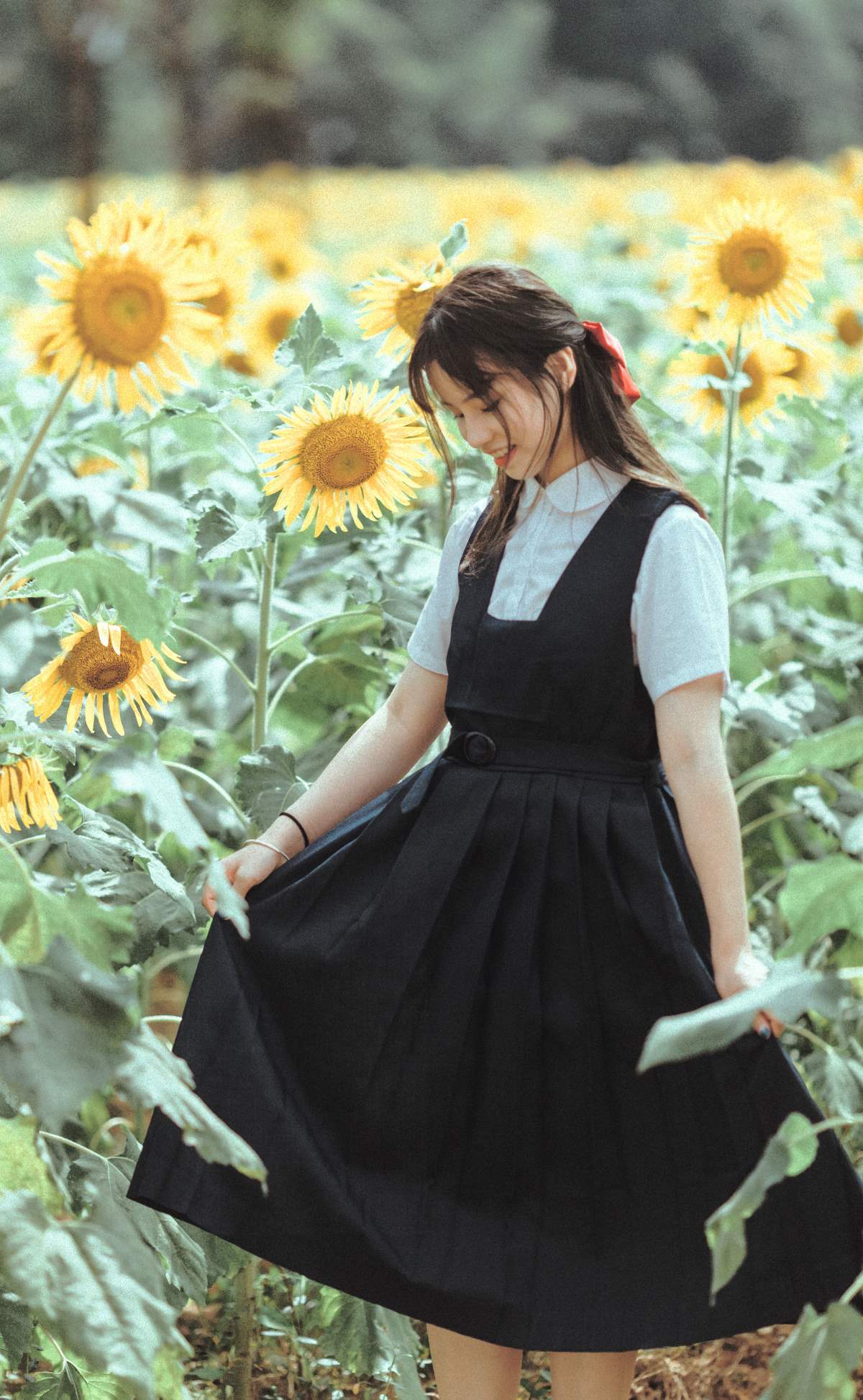 [YITUYU艺图语]2025.08.05 夏天的太阳花 薇薇 YITUYU艺图语-第1张