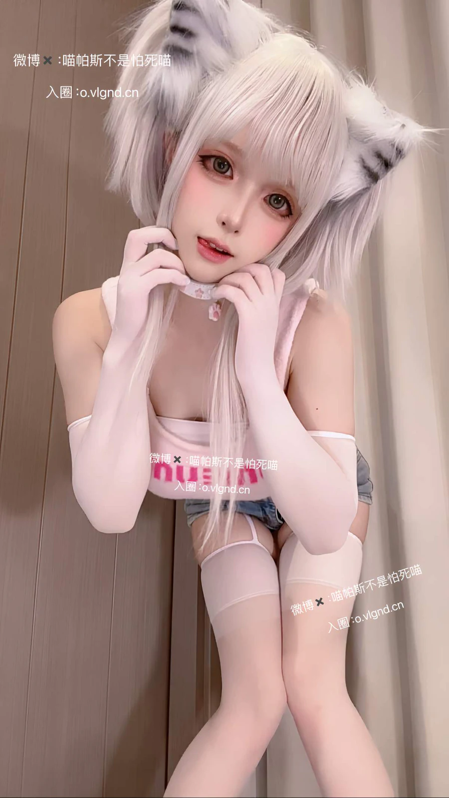 喵帕斯 – 日常喵 Cosplay-第1张