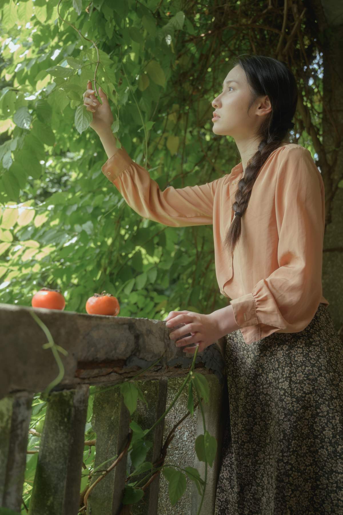 [YITUYU艺图语]2025.08.11 柿子 珂珂大王 YITUYU艺图语-第1张