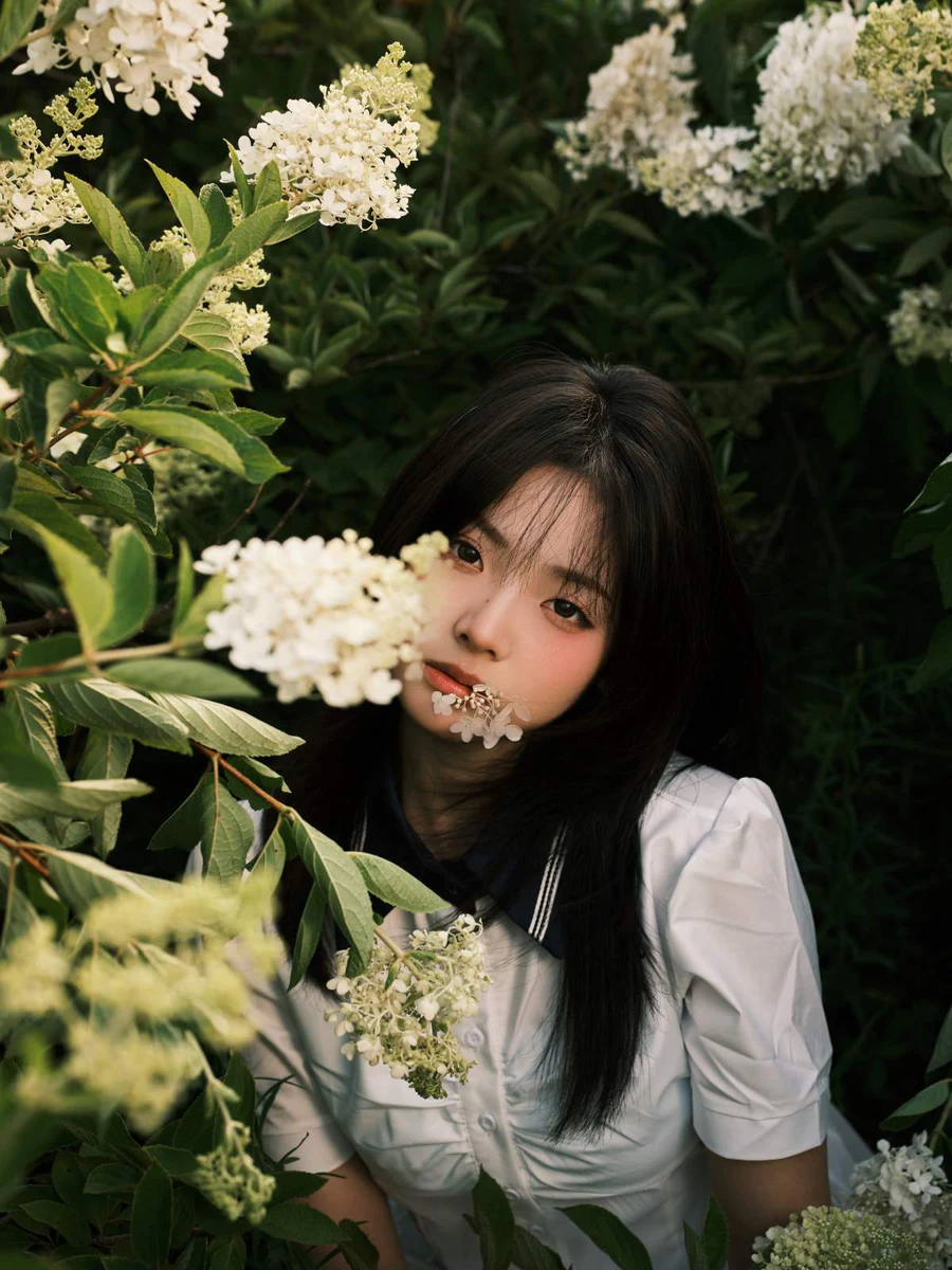 [YITUYU艺图语]2025.08.13 绣球花 炸洋芋 YITUYU艺图语-第1张