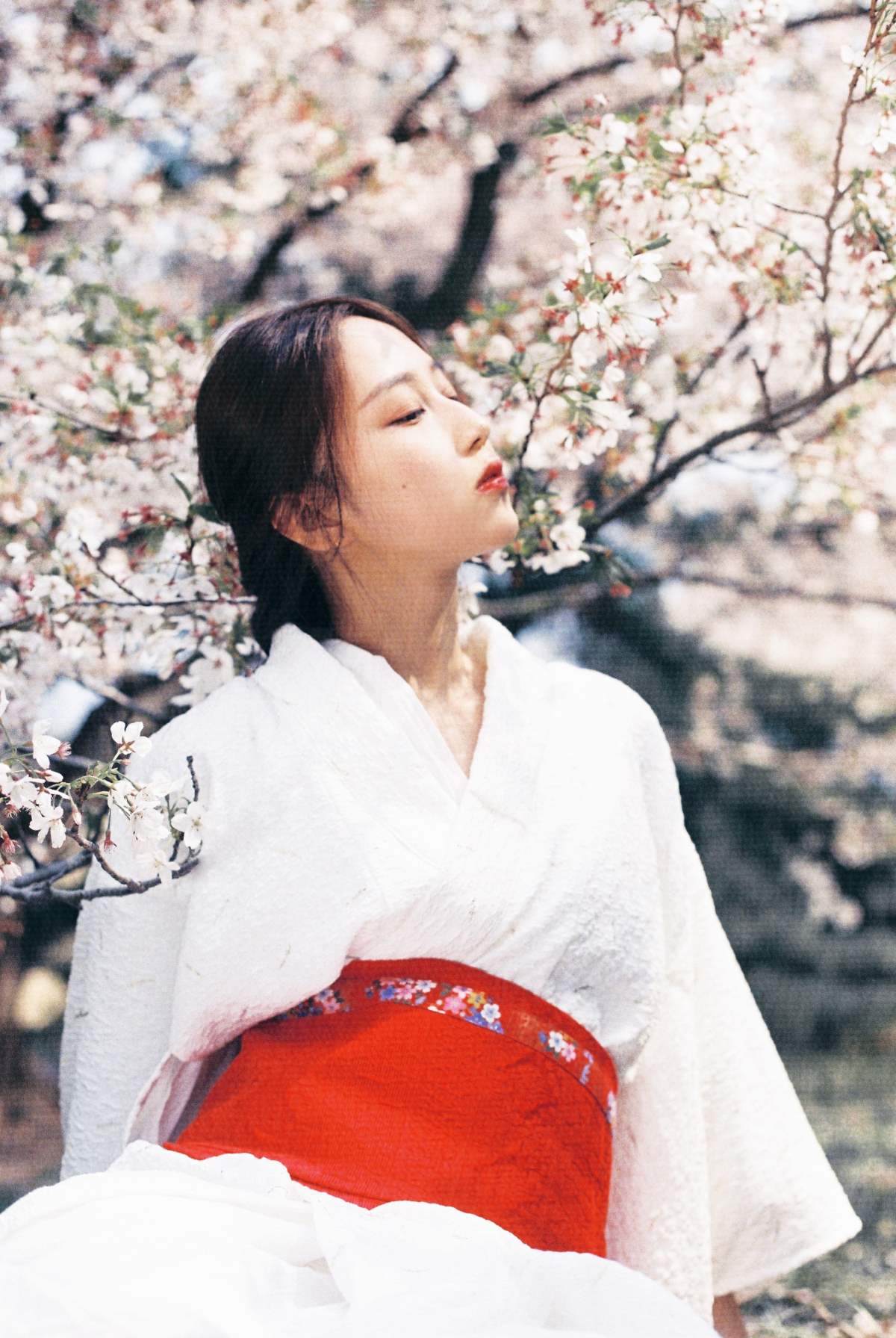 [YITUYU艺图语]2025.08.23 昭和复古画册 。 YITUYU艺图语-第1张