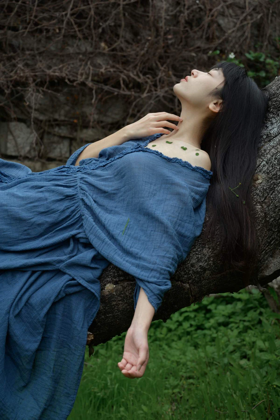 [YITUYU艺图语]2025.09.05 枯木逢春 山野小果 YITUYU艺图语-第1张