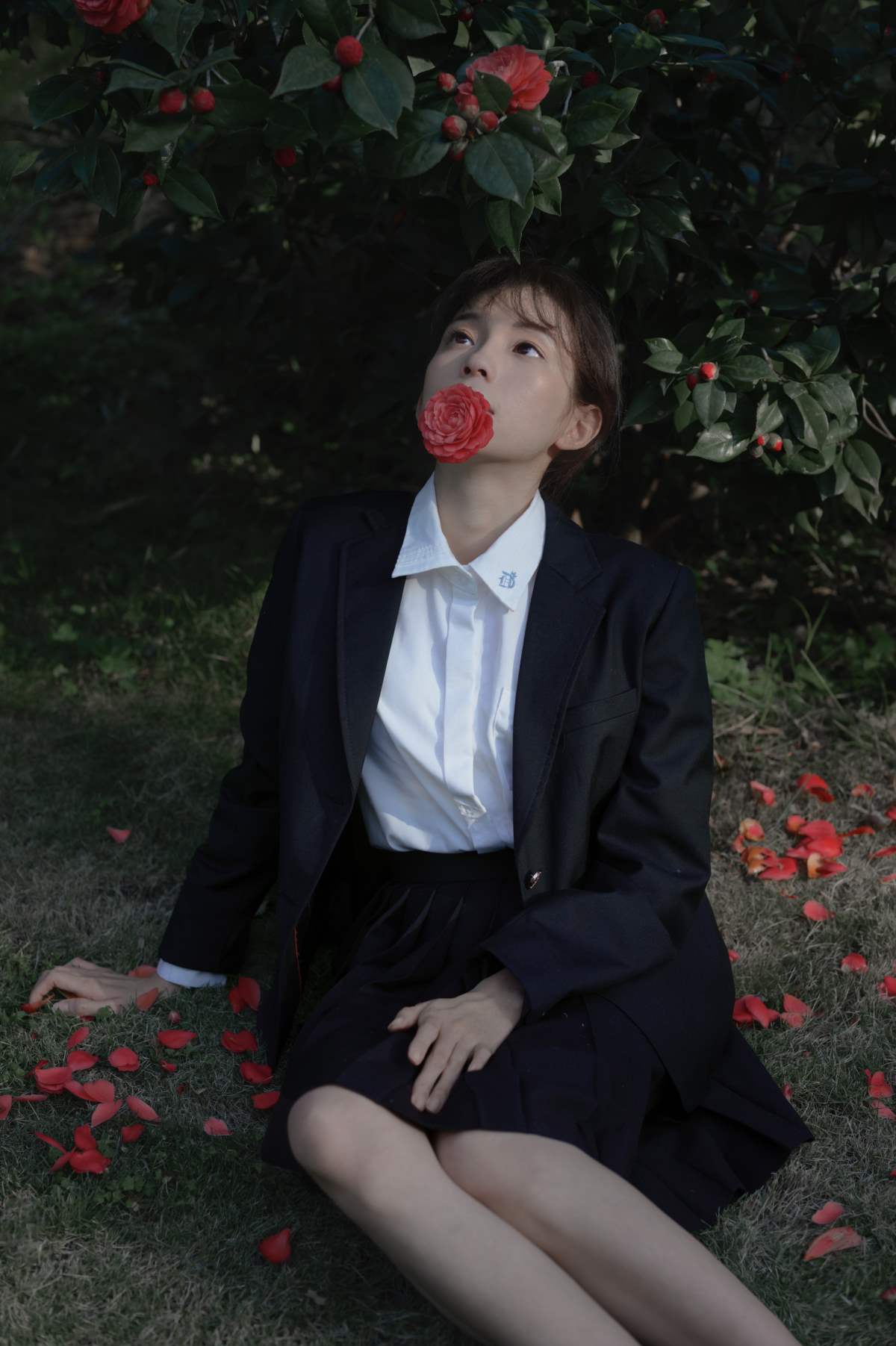 [YITUYU艺图语]2025.09.20 那年的山茶 森森 YITUYU艺图语-第1张