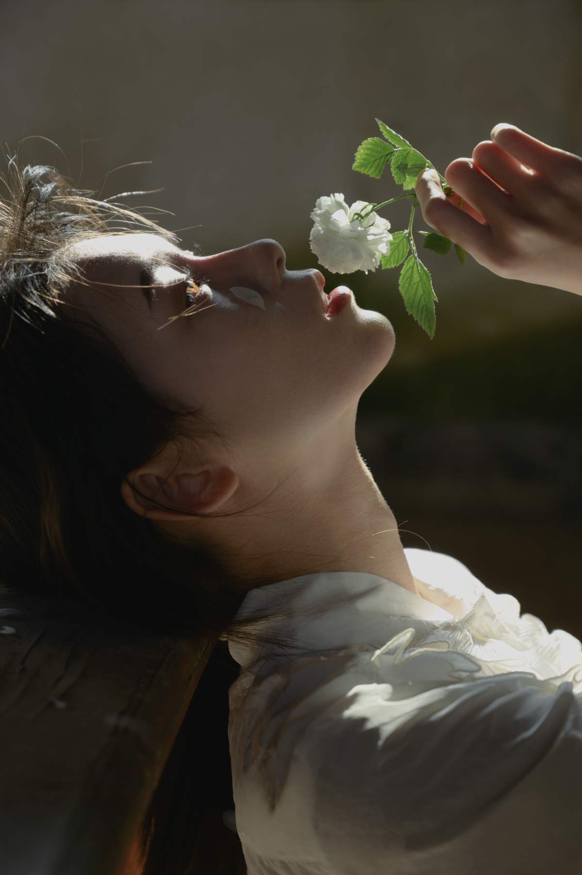 [YITUYU艺图语]2025.09.22 细碎光影 森森 YITUYU艺图语-第1张