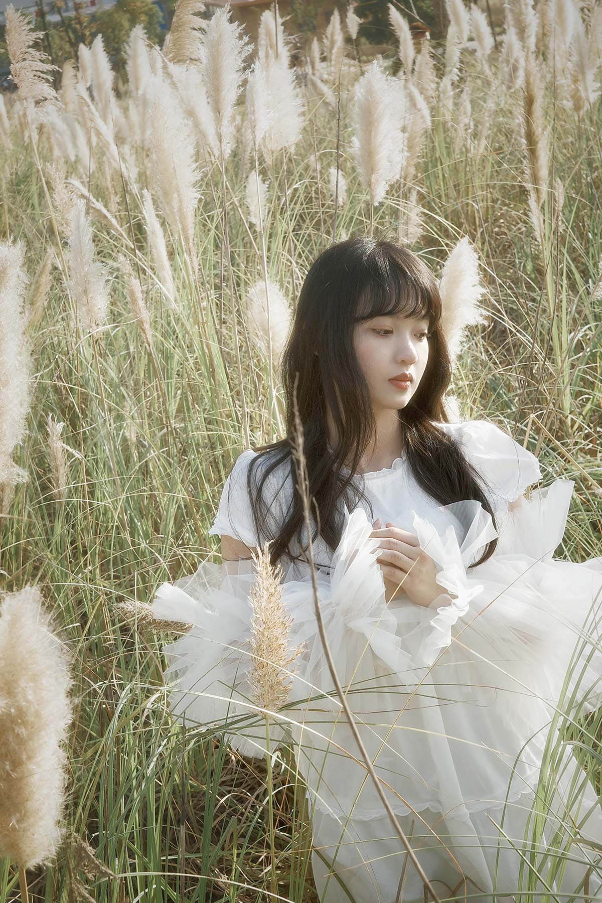 [YITUYU艺图语]2025.11.04 芦苇幻梦 YITUYU艺图语-第1张
