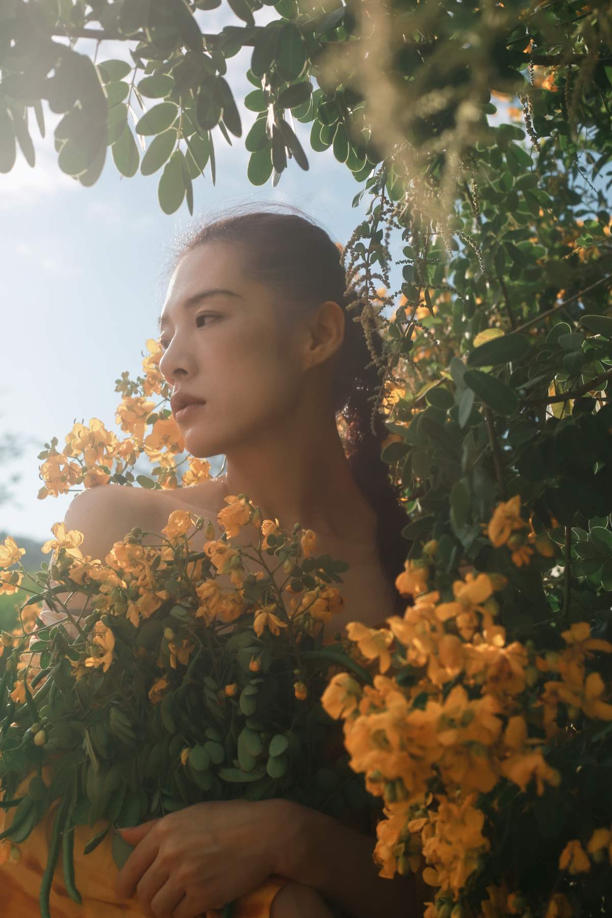 [YITUYU艺图语]2025.11.16 满树黄花 YITUYU艺图语-第1张